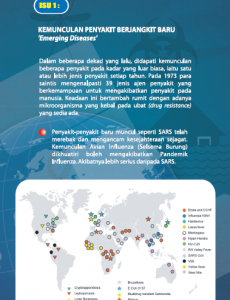 Keselamatan Kesihatan Antarabangsa 3