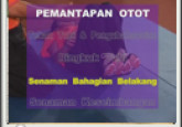 Pemantapan Otot: Senaman Bahagian Belakang