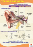 Telinga:Pameran Telinga dan Anda 1