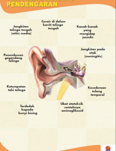 Telinga:Pameran Telinga dan Anda 3