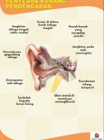 Telinga:Pameran Telinga dan Anda 3