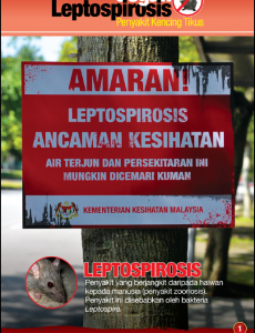 Leptospirosis 1