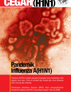 Influenza A:Pameran Cegah Influenza A (H1N1) 1