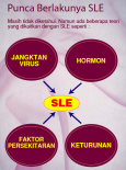 SLE 7