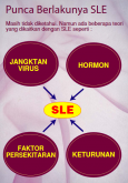 SLE 7