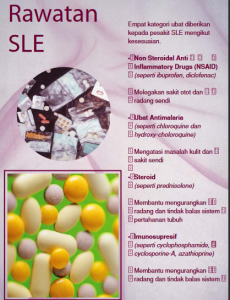 SLE 13