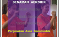 Senaman Aerobik : Pergerakan Asas Senamrobik