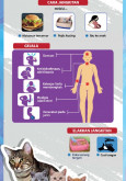 Toxoplasmosis