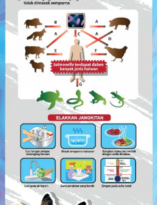 Salmonellosis