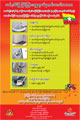Denggi (Bahasa Myanmar)