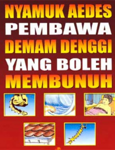 Denggi:Nyamuk Aedes pembawa demam denggi yang boleh membunuh