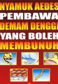 Denggi:Nyamuk Aedes pembawa demam denggi yang boleh membunuh