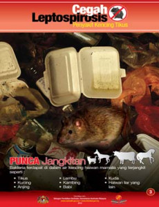 Leptospirosis: Punca Jangkitan