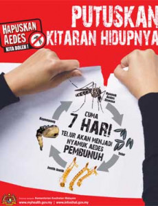 Denggi:Putuskan Kitaran Hidup Nyamuk (BM)