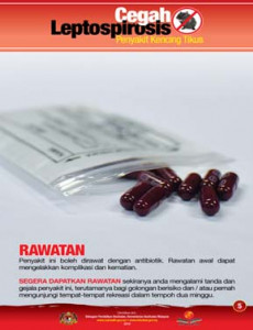 Leptospirosis: Rawatan