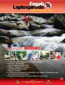 Leptospirosis: Golongan Berisiko