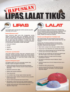 Hapuskan Lipas Lalat Tikus