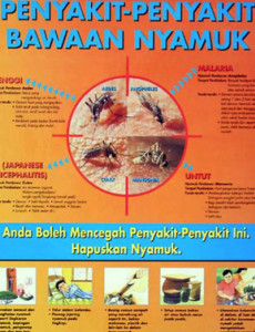 Denggi :Penyakit Bawaan Nyamuk