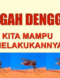 Khutbah Jumaat : Cegah Denggi : Kita Mampu Melakukannya