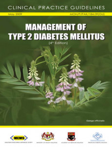 Diabetes:Management of Type 2 Diabetes Mellitus (4th Edition) (CPG-May 2009)- English - Patient Information Leaflet