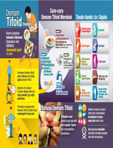 Tifoid:Demam Kepialu (Muka Belakang)