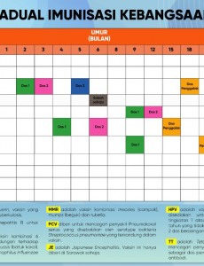 Jadual Imunisasi Kebangsaan Terkini