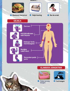 Toxoplasmosis